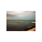 Revolog Streak Iso 200 35mm x 36exp Special Effect Color Film 2