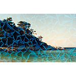 Revolog Plexus Iso 200 35mm x 36exp Special Effect Color Film 1