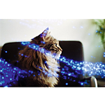 Revolog Kosmos Iso 200 35mm x 36exp Special Effect Color Film 4