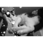 Revolog Snovlox ISO 100 35mm x 36exp Special Effect Black and White Film 1