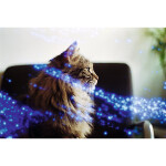 Revolog Kosmos ISO 200 35mm x 36exp Special Effect Color Film 1