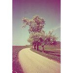 Revolog Kolor ISO 400 35mm x 36exp Special Effect Color Film 3