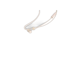 Saramonic Omni HeadSet Mic for Lectrosonics Wireless Transmitter with TA5F C 5