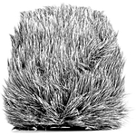 Saramonic CamMic+WS Slip-On Furry Windscreen 0