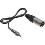 Sennheiser CL-100 1/8in Male Mini Jack to XLR Male Cable 0