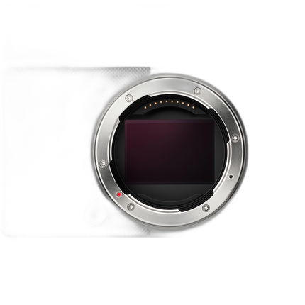 Sigma BF Digital Camera (Silver)