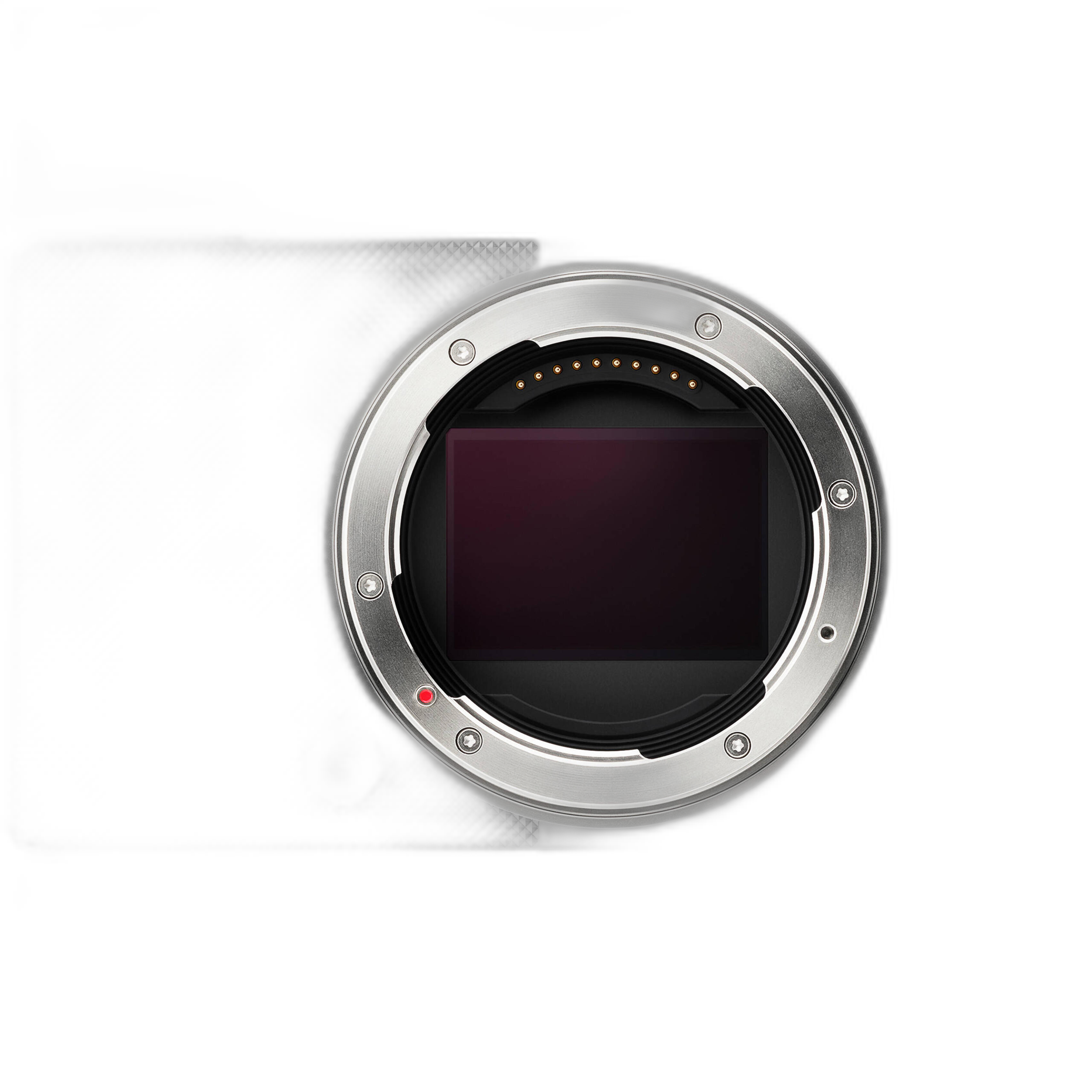 Sigma BF Digital Camera (Silver)
