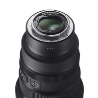 Sigma 15mm f/1.4 DG DN Diagonal Fisheye Art Lens (Sony E) 6
