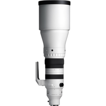 Sigma 300-600mm F4 DG OS Sports for Sony E