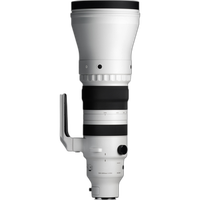 Sigma 300-600mm F4 DG OS Sports for Sony E 1