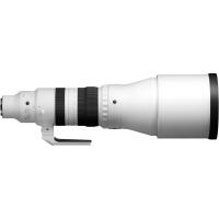 Sigma 300-600mm F4 DG OS Sports for Sony E 2