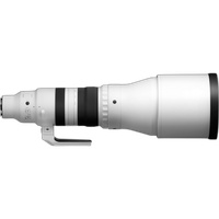Sigma 300-600mm F4 DG OS Sports for L-Mount 2