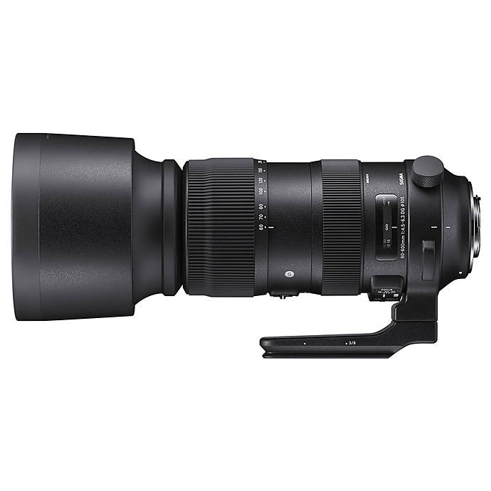 SIGMA 60-600mm ＋レンズガード （Canon ef用） Sigma 60-600mm F4.5-6.3 DG OS HSM Sports Lens (Canon)
