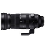 Sigma 150-600mm f/5-6.3 DG DN OS Sports Lens for L-Mount 1