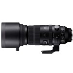 Sigma 150-600mm f/5-6.3 DG DN OS Sports Lens for L-Mount 3