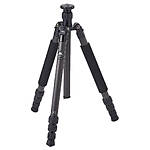 Sirui T-1204XL Carbon Fiber Tripod with E-10 Ball Head 1
