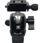 Sirui T-005SK T-0S Series Travel Tripod with B-00 Ball Head (Black, Aluminum 1