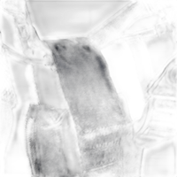 Smoke Ninja Smoke Vest 2