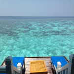 SanDisk 256GB Ultra SDHC UHS-I Class 10 Memory Card (100MB/s) 1