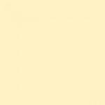 Savage Background 53x36 Sand 0