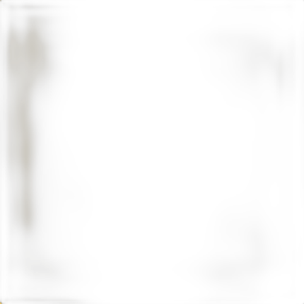 Savage 86X36 Sand Widetone Background