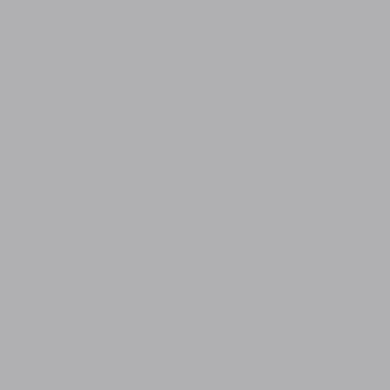 Savage Background 53x36 Gray Sky