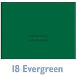Savage Background 53x36 Evergreen 0