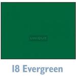 Savage Widetone Seamless Background Paper - 107in.x50yds. - 18 Evergreen 0