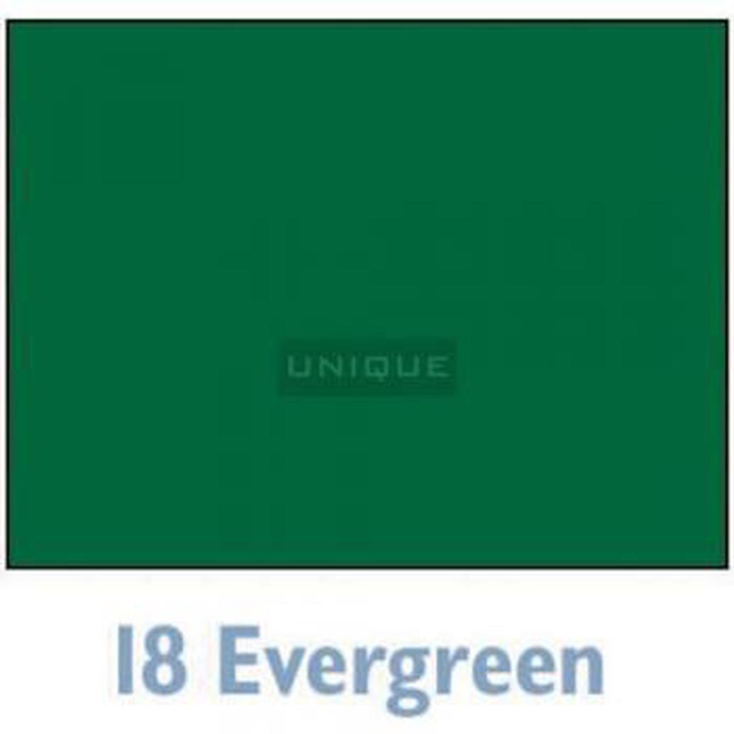 Savage Widetone Seamless Background Paper - 107in.x50yds. - 18 Evergreen