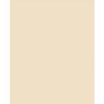Savage Widetone Seamless Background Paper - 107in.x50yds. - 19 Egg Nog 0