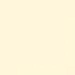 Savage Widetone Seamless Background Paper - 107in.x50yds. - 22 Egg Shell 0