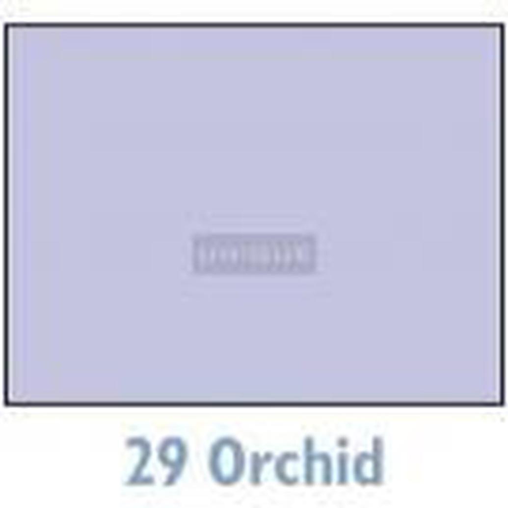 Savage Background 53x36 Orchid