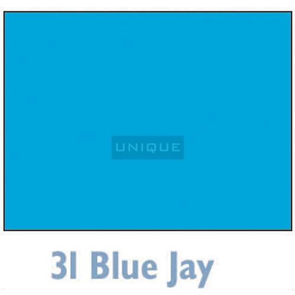 Savage Background 53x36 Blue Jay