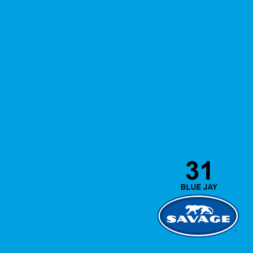 Savage Background 26x36 Blue Jay