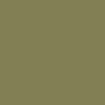 Savage Background 107x36 Olive Green 0
