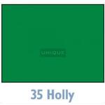 Savage Widetone Seamless Background Paper - 107in.x50yds. - 35 Holly 0