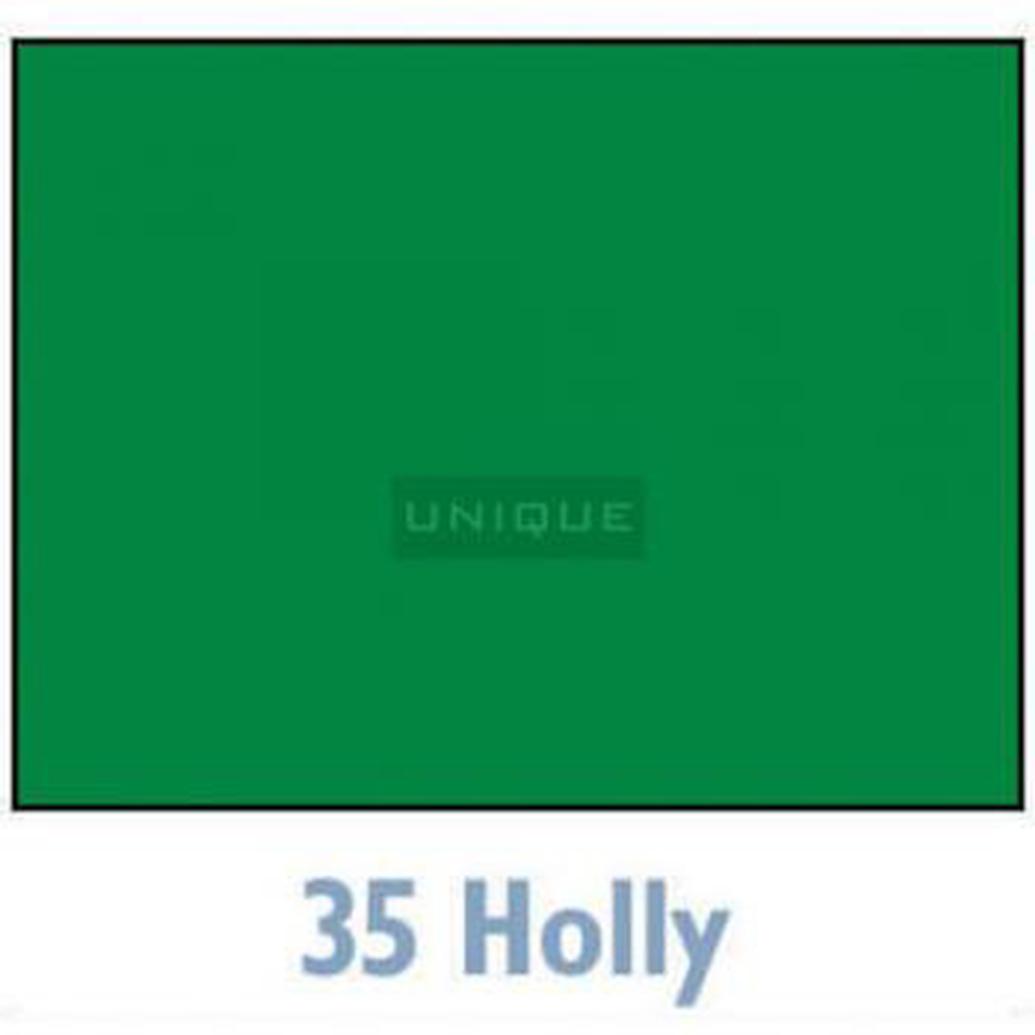 Savage Widetone Seamless Background Paper - 107in.x50yds. - 35 Holly