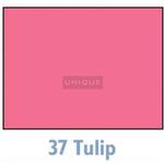 Savage Background 107x36 Tulip 0