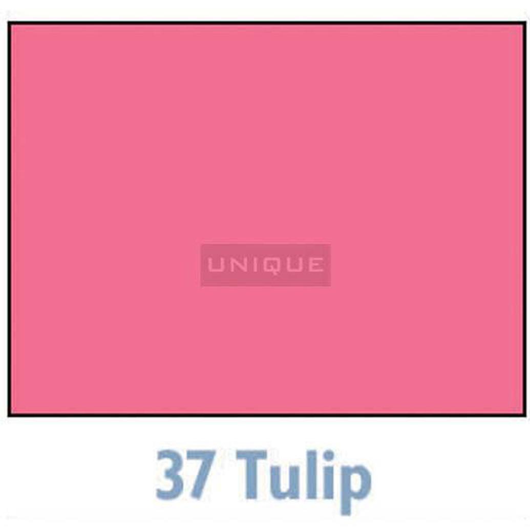 Savage Background 107x36 Tulip