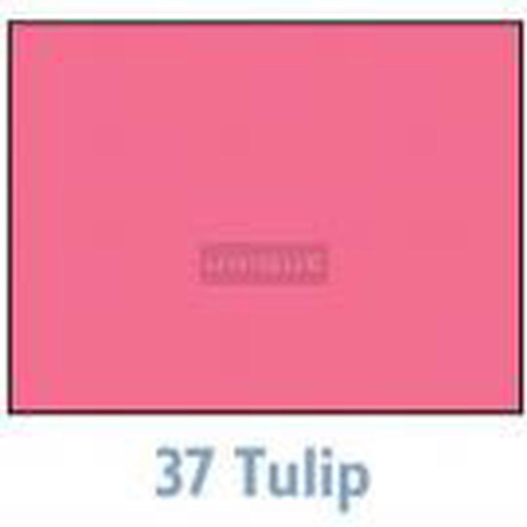 Savage Background 53x36 Tulip