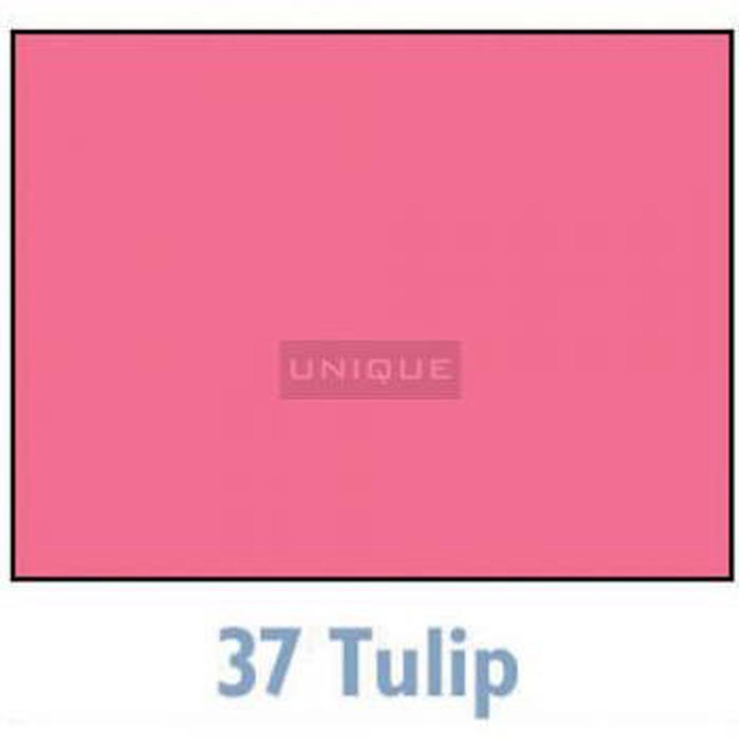 Savage Widetone Seamless Background Paper - 107in.x50yds. - 37 Tulip