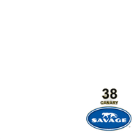 Savage Background 26x36 Canary 0