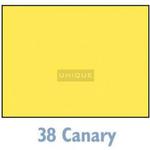 Savage Widetone Seamless Background Paper - 107in.x50yds. - 38 Canary 0