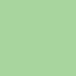 Savage Background 107x36 Mint Green 0