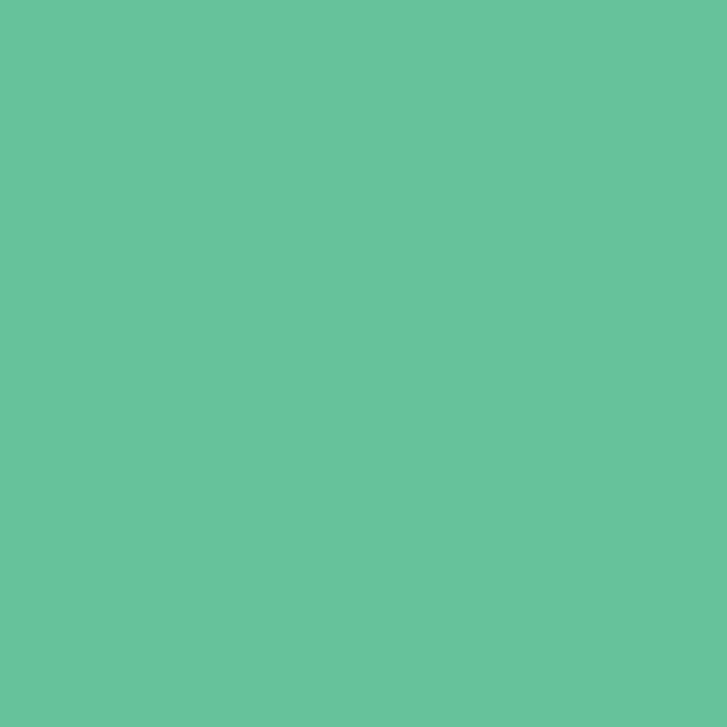 Savage Background 53x36 Mint Green