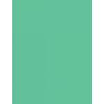 Savage Widetone Seamless Background Paper - 107in.x50yds. - 40 Mint Green 0