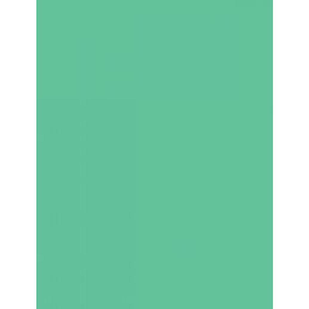Savage Widetone Seamless Background Paper - 107in.x50yds. - 40 Mint Green