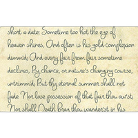 Savage 53X18 Printed Background - Romantic Script 0
