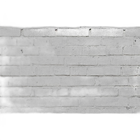 Savage 53X18 Printed Background - White Brick 0