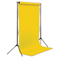 Savage Economy Background Stand 0